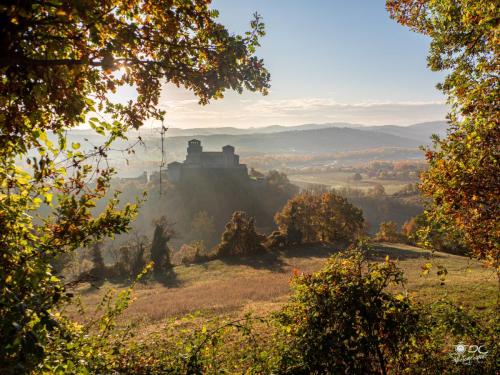 Torrechiara-13